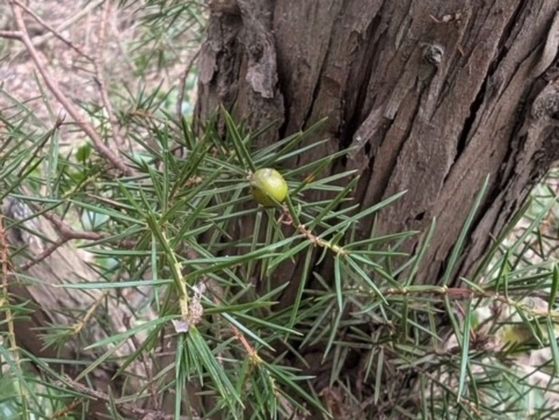 �����̗l�q(�ʐ^)