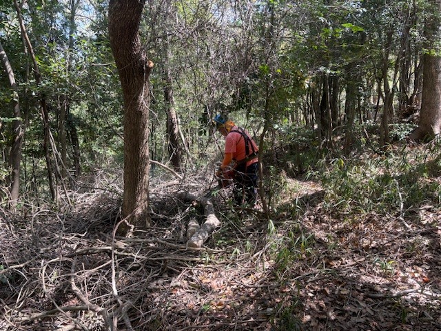 �����̗l�q(�ʐ^)