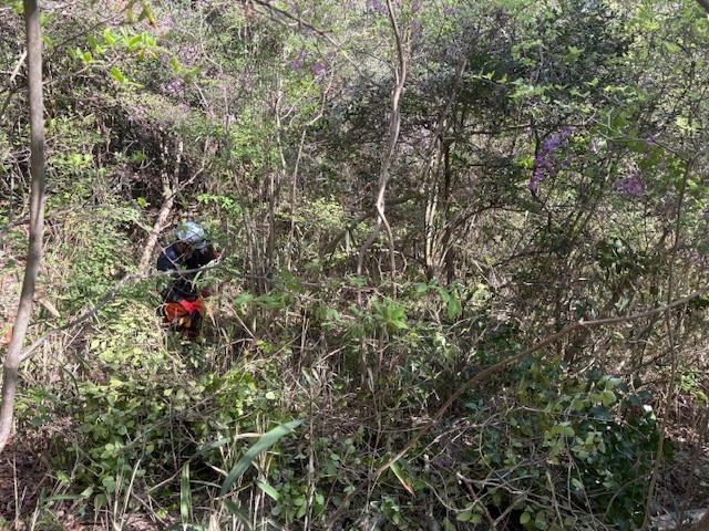 �����̗l�q(�ʐ^)