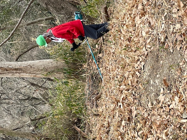 �����̗l�q(�ʐ^)