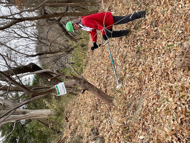 �����̗l�q(�ʐ^)