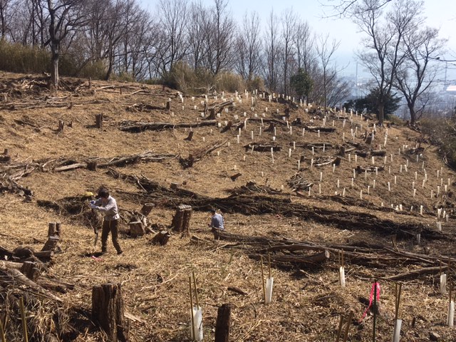 �����̗l�q(�ʐ^)