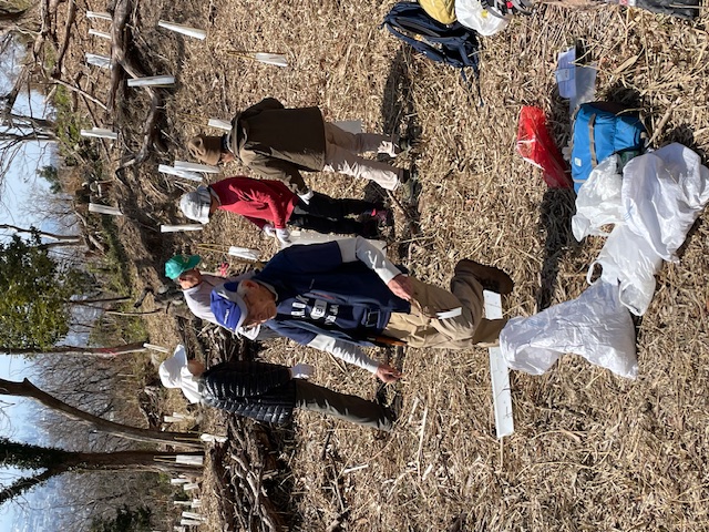 �����̗l�q(�ʐ^)