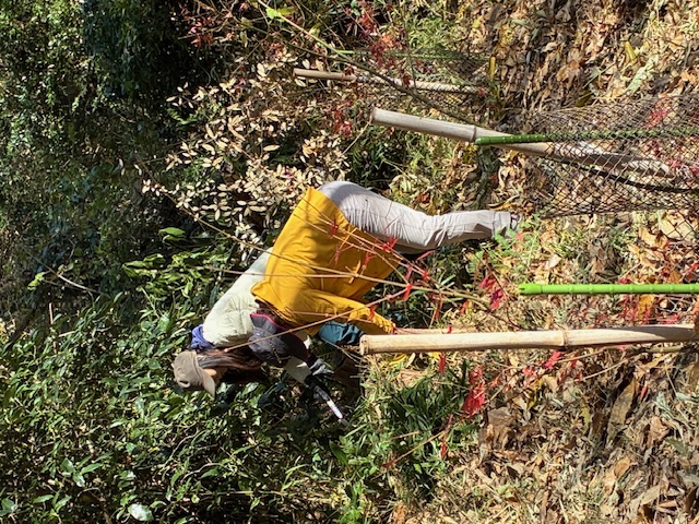 �����̗l�q(�ʐ^)