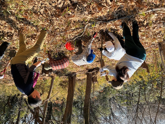 �����̗l�q(�ʐ^)