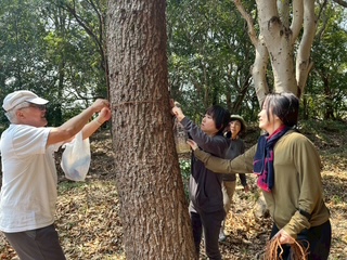 �����̗l�q(�ʐ^)