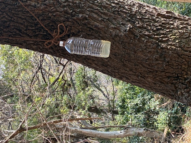 �����̗l�q(�ʐ^)