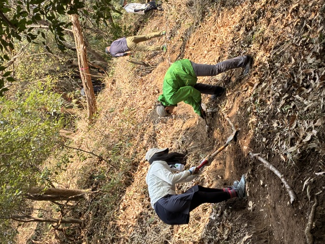 �����̗l�q(�ʐ^)