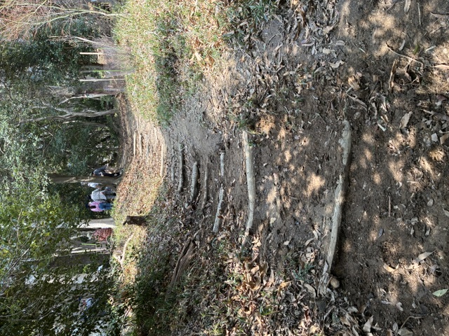 �����̗l�q(�ʐ^)