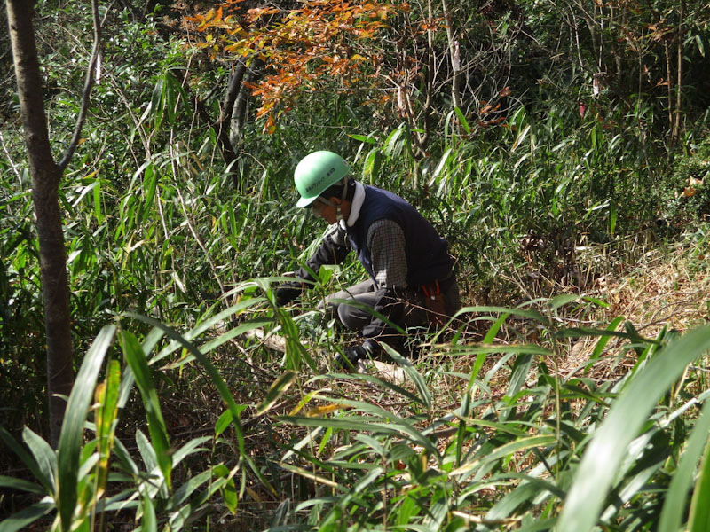 �����̗l�q(�ʐ^)