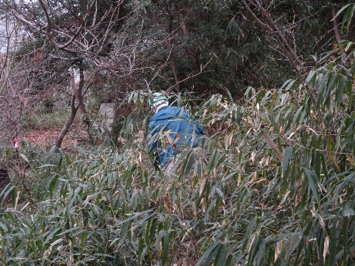 �����̗l�q(�ʐ^)