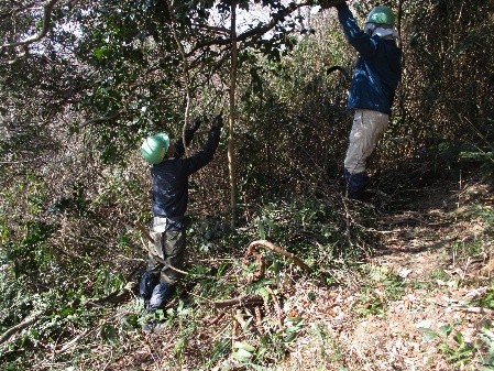 �����̗l�q(�ʐ^)