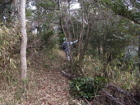 �����̗l�q(�ʐ^)