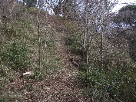 �����̗l�q(�ʐ^)