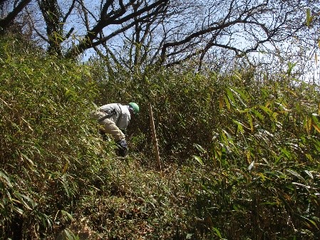 �����̗l�q(�ʐ^)