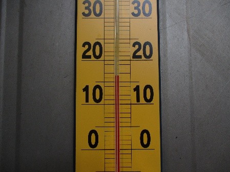 �����̗l�q(�ʐ^)