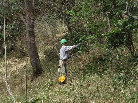 �����̗l�q(�ʐ^)