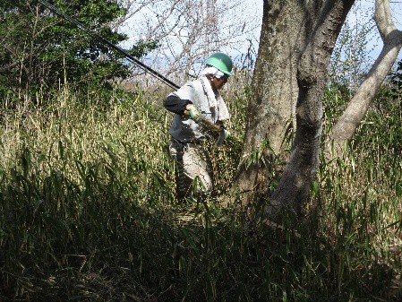 �����̗l�q(�ʐ^)