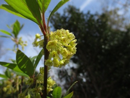 �����̗l�q(�ʐ^)