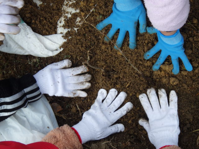 �v���O�����̗l�q