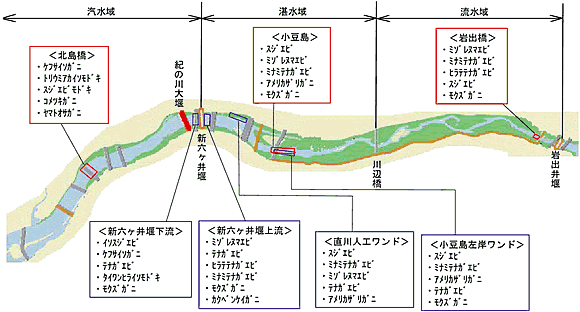 図