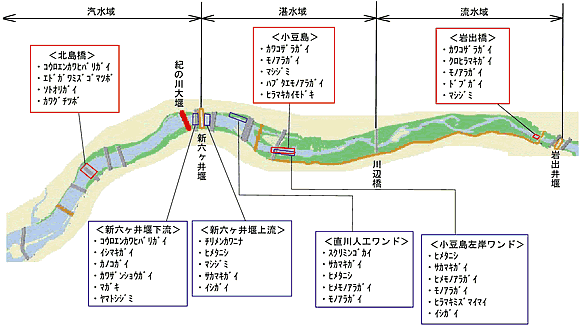 図