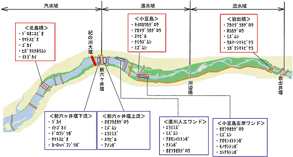 図