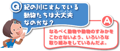 Q／紀の川にすんでいる動物たちは大丈夫なのかな？A／なるべく動物や動物のすみかをこわさないよう、いろいろな取り組みをしているんだよ。