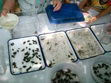 ��������̐�������������܂����B