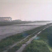 大和川の洪水(平成12年9月)<br>番条