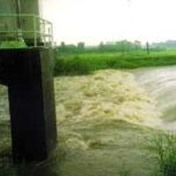 大和川の洪水(平成11年8月)<br>番条北井堰