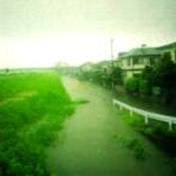 大和川の洪水(平成11年8月)<br>大和郡山市稗田町杉橋
