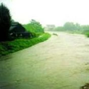 大和川の洪水(平成11年8月)<br>大和郡山市稗田町地先