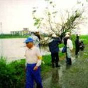 大和川の洪水(平成11年8月)<br>三橋町