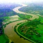 大和川の洪水(平成11年8月)<br>斑鳩町