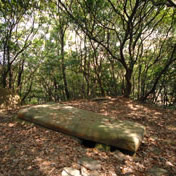 松岳山古墳(群)