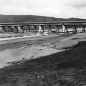 藤井寺市 大正橋下流左岸付近<br>藤井寺市大正橋左岸下流付近