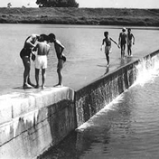 大和川(柏原堰堤)の昔のようす