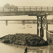 「大和橋堺大観より」<br>【明治時代】