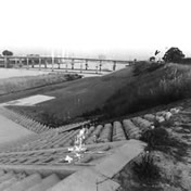 「安堂近くのカーブした堤防の上から柏原南口の方向を写したもの」