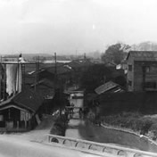 大和川堤防より長瀬川<br>【昭和28年】