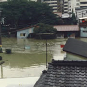 西除川と大和川が一緒になってしまったような洪水。