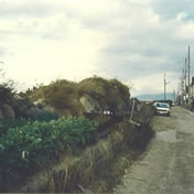 すぐ近くの新浅香山小学校の4年生たちと探検