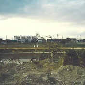 すぐ近くの新浅香山小学校の4年生たちと探検