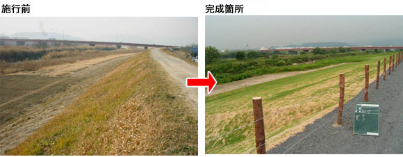 施工前と施工後の様子